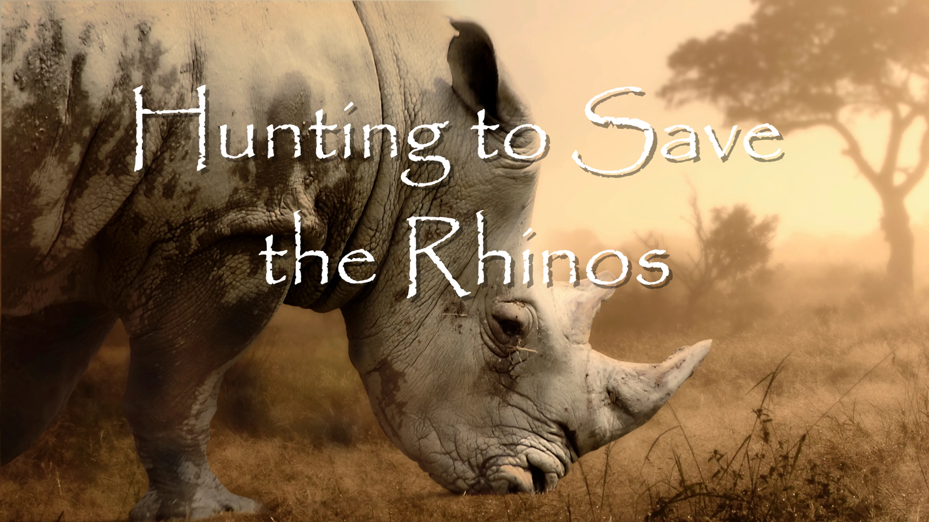 Hunting to Save the Rhinos poster